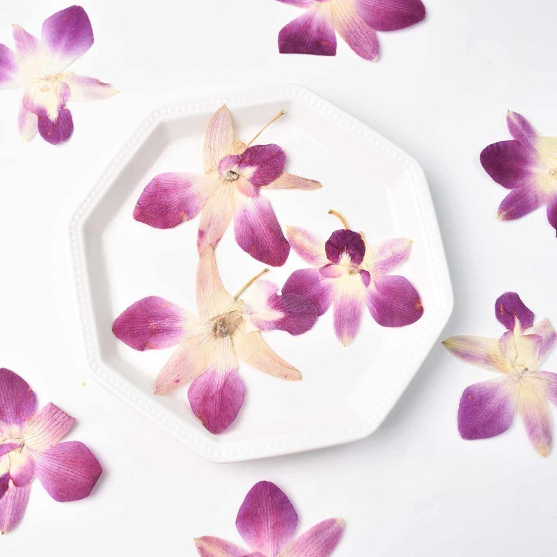 Resin Art Baby - 4 peças, Flores de Orquídea Borboleta