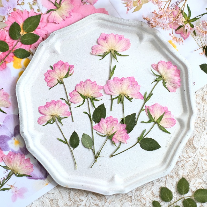 Resin Art Baby - 12 peças, Flores Secas Reais Prensadas