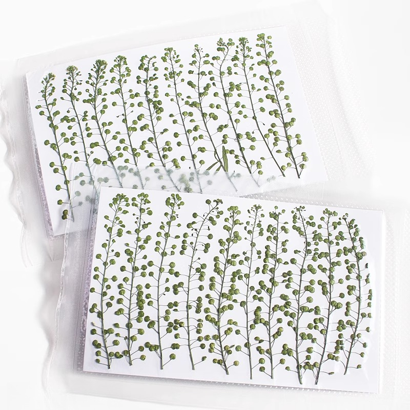 Cor natural verde sino grama p - Resin Art Baby avaliação e preço