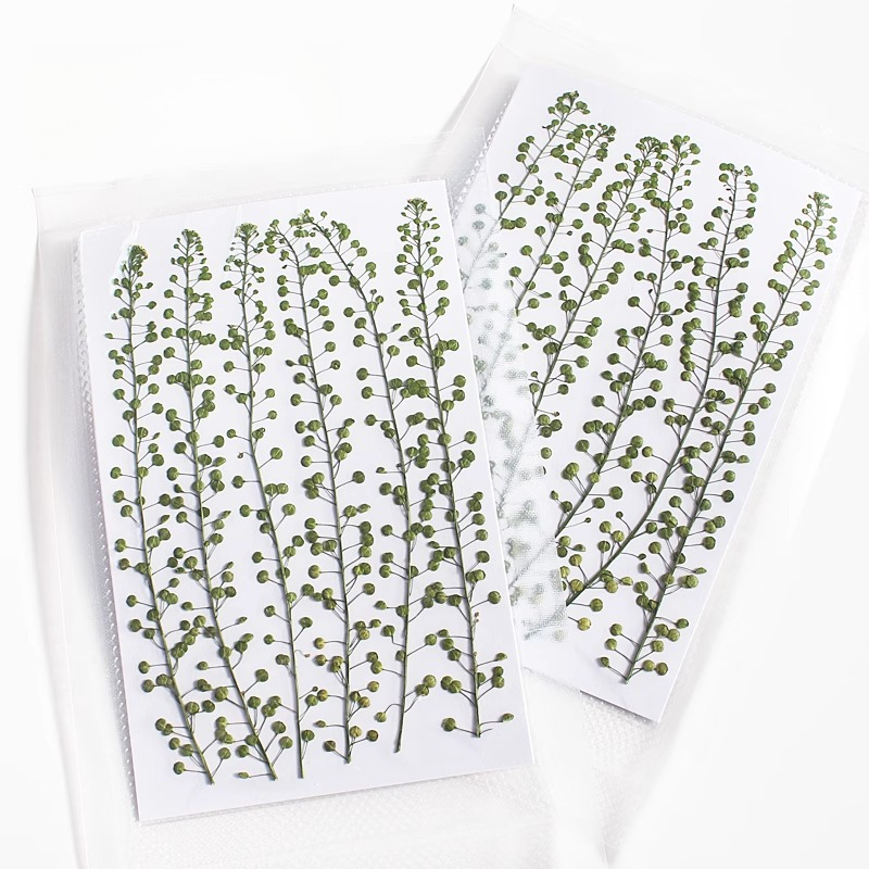 Cor natural verde sino grama p - Resin Art Baby avaliação e preço