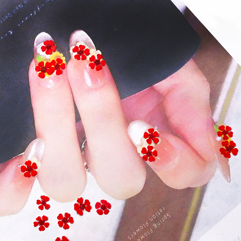 96 Peças Mini Flores Naturais  - Resin Art Baby avaliação e preço