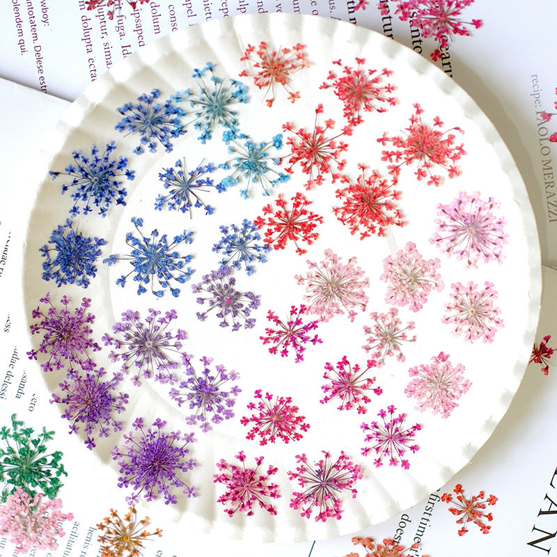 24 peças, 2-2,5cm, Pétalas de  - Resin Art Baby avaliação e preço