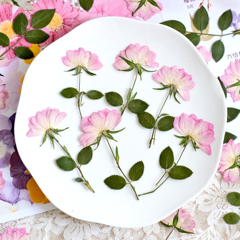 12 peças, Flores Secas Reais P - Resin Art Baby avaliação e preço