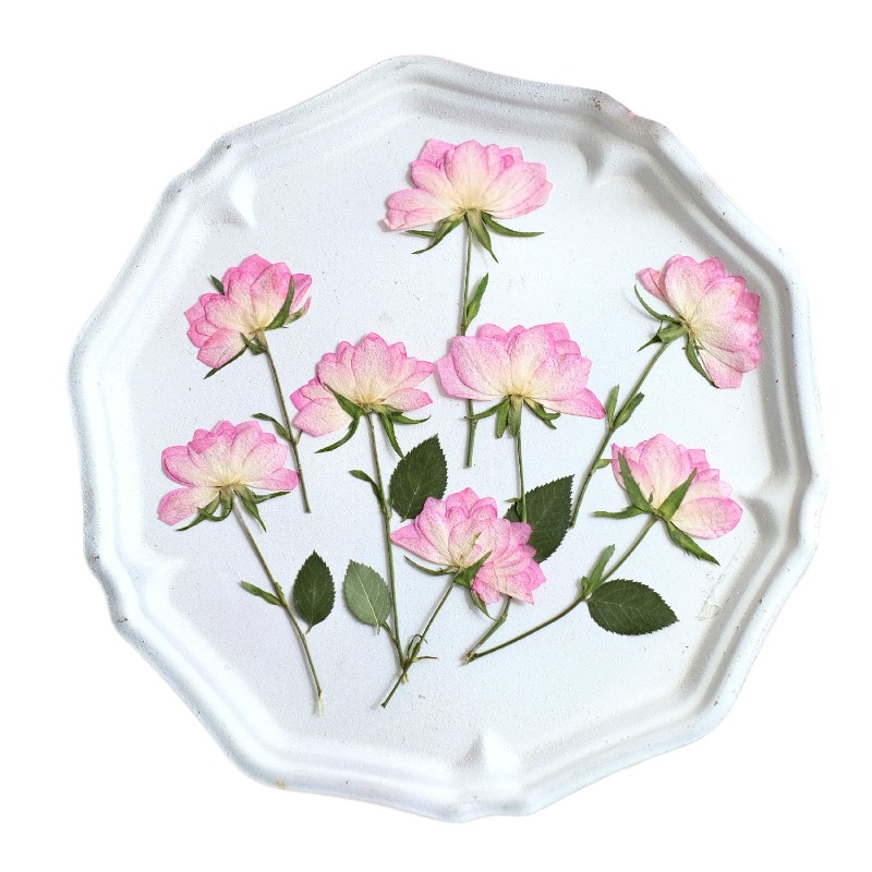 12 peças, Flores Secas Reais P - Resin Art Baby avaliação e preço