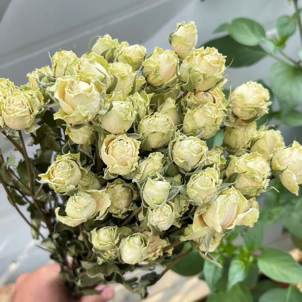Buquê de flores de rosa natura - Resin Art Rose avaliação e preço